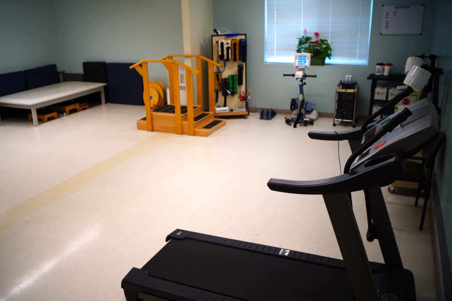 Our Therapy Gym